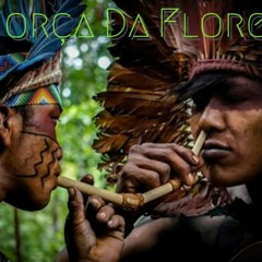 Corações De Gaia - Força Da Floresta(M4A_128K).m4a