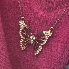 Butterflies (DEMO)
