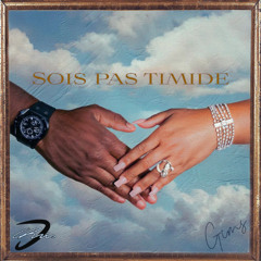 Gims - Sois pas timide (D-CHRIS remix) Free Download