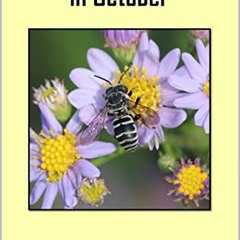 Read PDF EBOOK EPUB KINDLE Finding Wildlife Outdoors in October: Wandering on trails