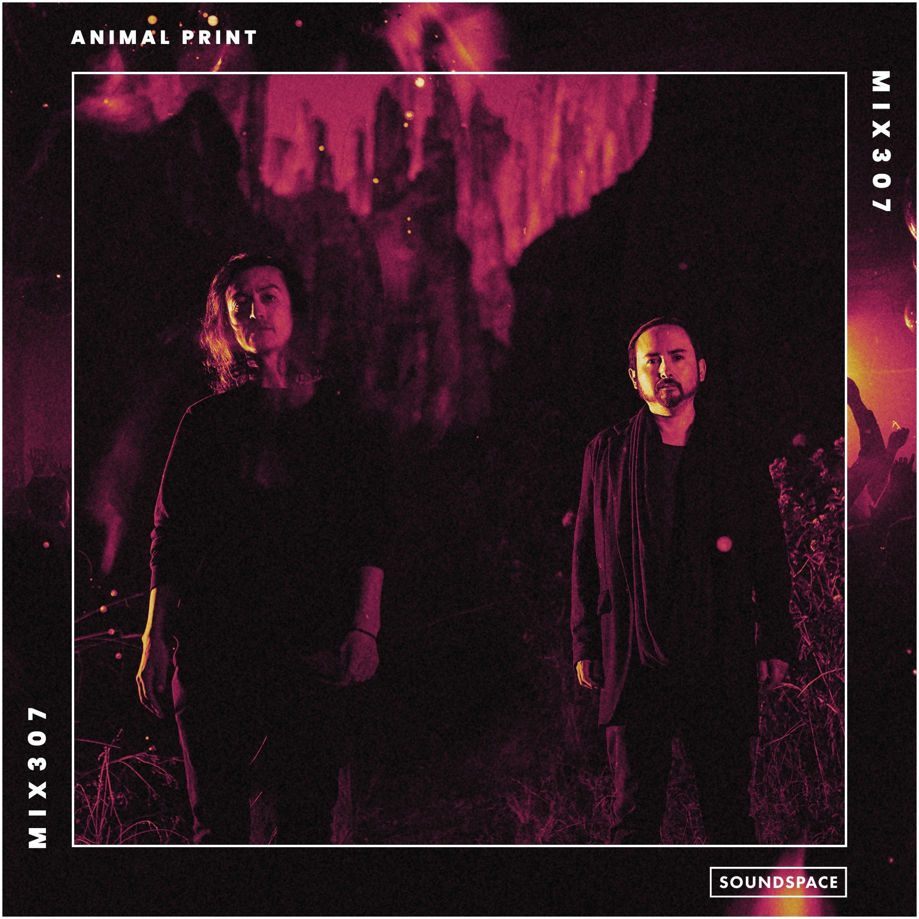 MIX307: Animal Print