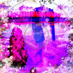 irei_173