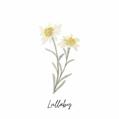 Lullaby (IU) Cover - Viet lyrics