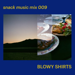 snack music mix 009 - BLOWY SHIRTS
