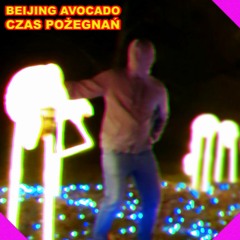 Beijing Avocado - Czas Pożegnań (Poradnik Uśmiechu OST demo)