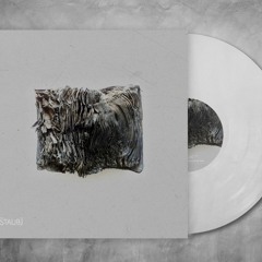 Premiere: B1 Untitled Artist (STAUB 005 V/A)