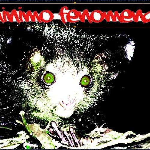 minimo fenomenal