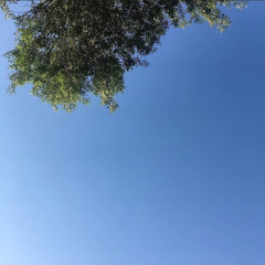 I pt.2 (demo)