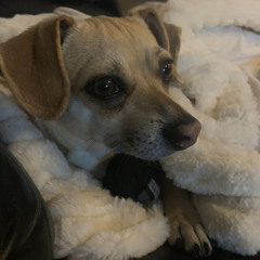 Make love by Dakota feat. (PEACE) & Noble