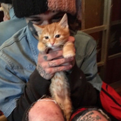 NeKishlak [prod. сонный паралич]