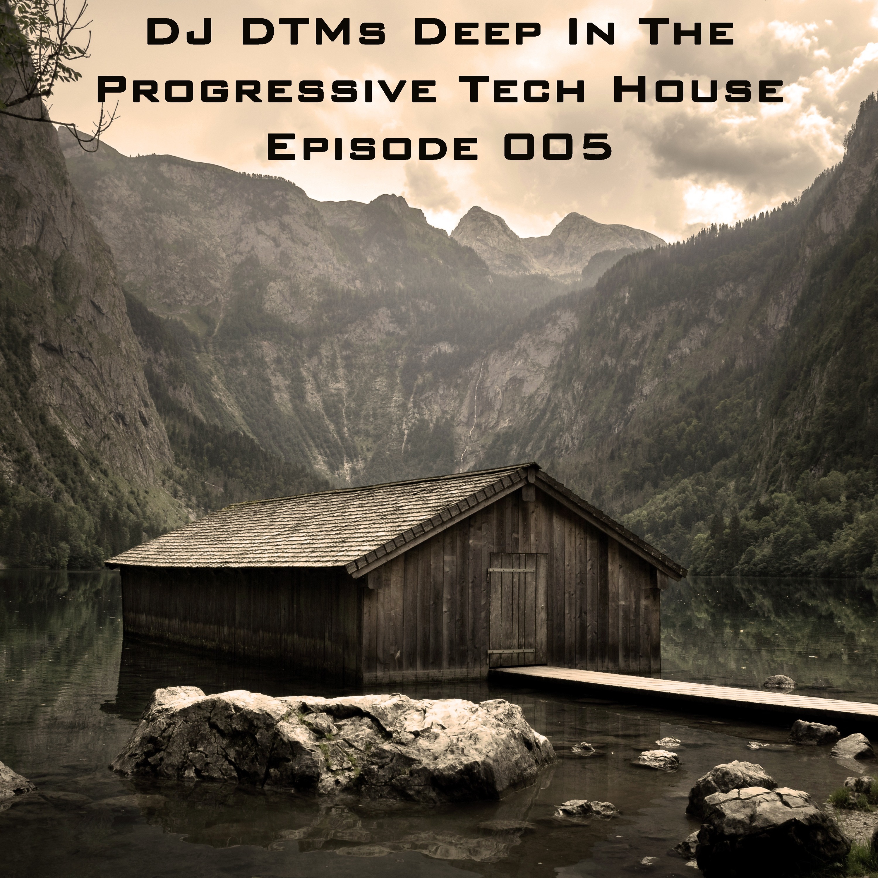 DJ DTMs Deep In The Progressive Tech House 005