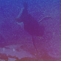 999-EVILZ (drowning)