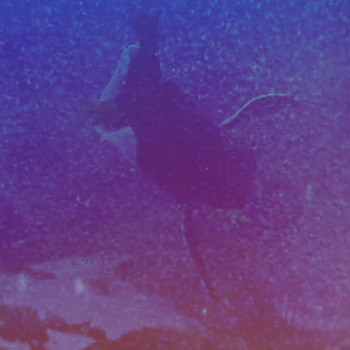 999-EVILZ (drowning)