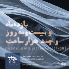 Alireza Ghorbani - 11 Months, 29 Days, And Thousands Of Hours