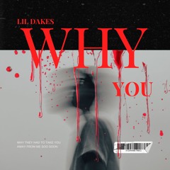 Lil Dakes - Why You (Official Audio)