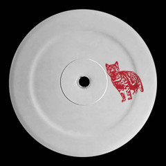 Perky Beats -- Paradise Falls (Tim Reaper Remix)