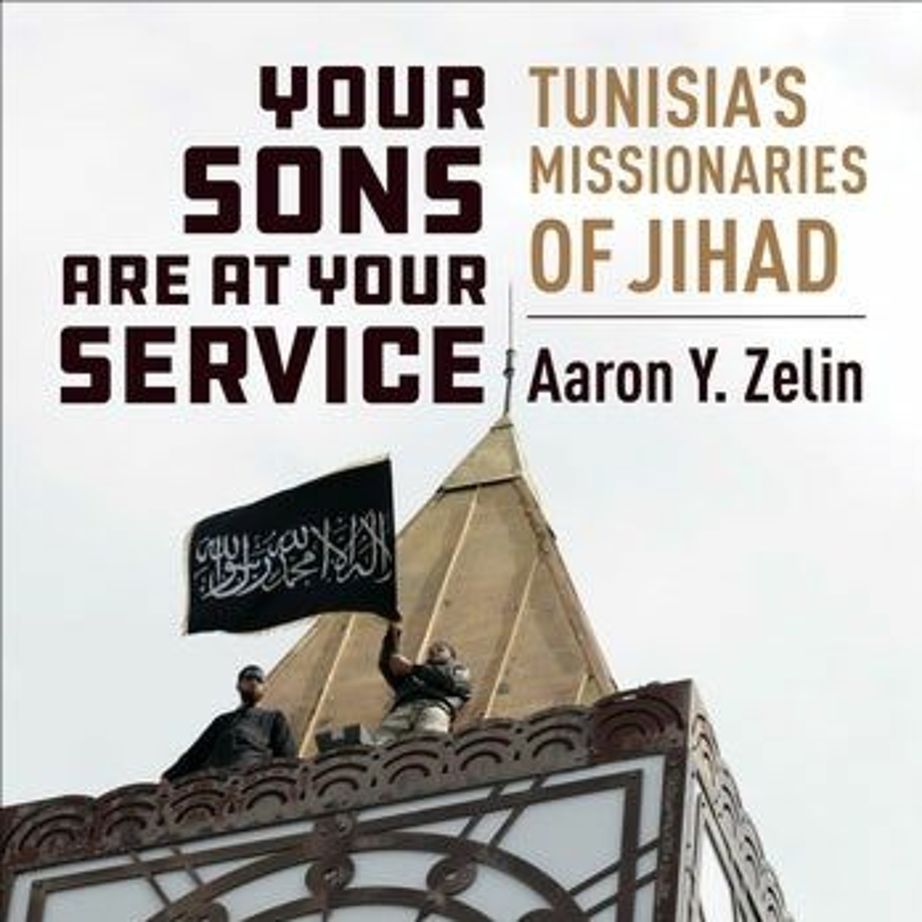 POMEPS Middle East Political Science Podcast