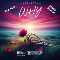 FLA Fiji- why (ft. ChicoBlck)