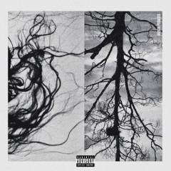 @TheFunction (cartier)