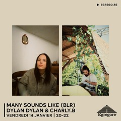 Many Sounds Like (BLR) - Dylan Dylan & Charly.B (Janvier 2022)