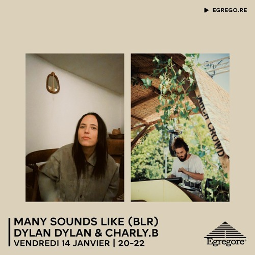 Many Sounds Like (BLR) - Dylan Dylan & Charly.B (Janvier 2022)