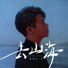 去山海 (DJ九零版伴奏)