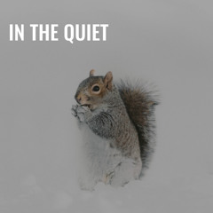 In The Quiet