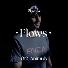 Flows 012: Animula