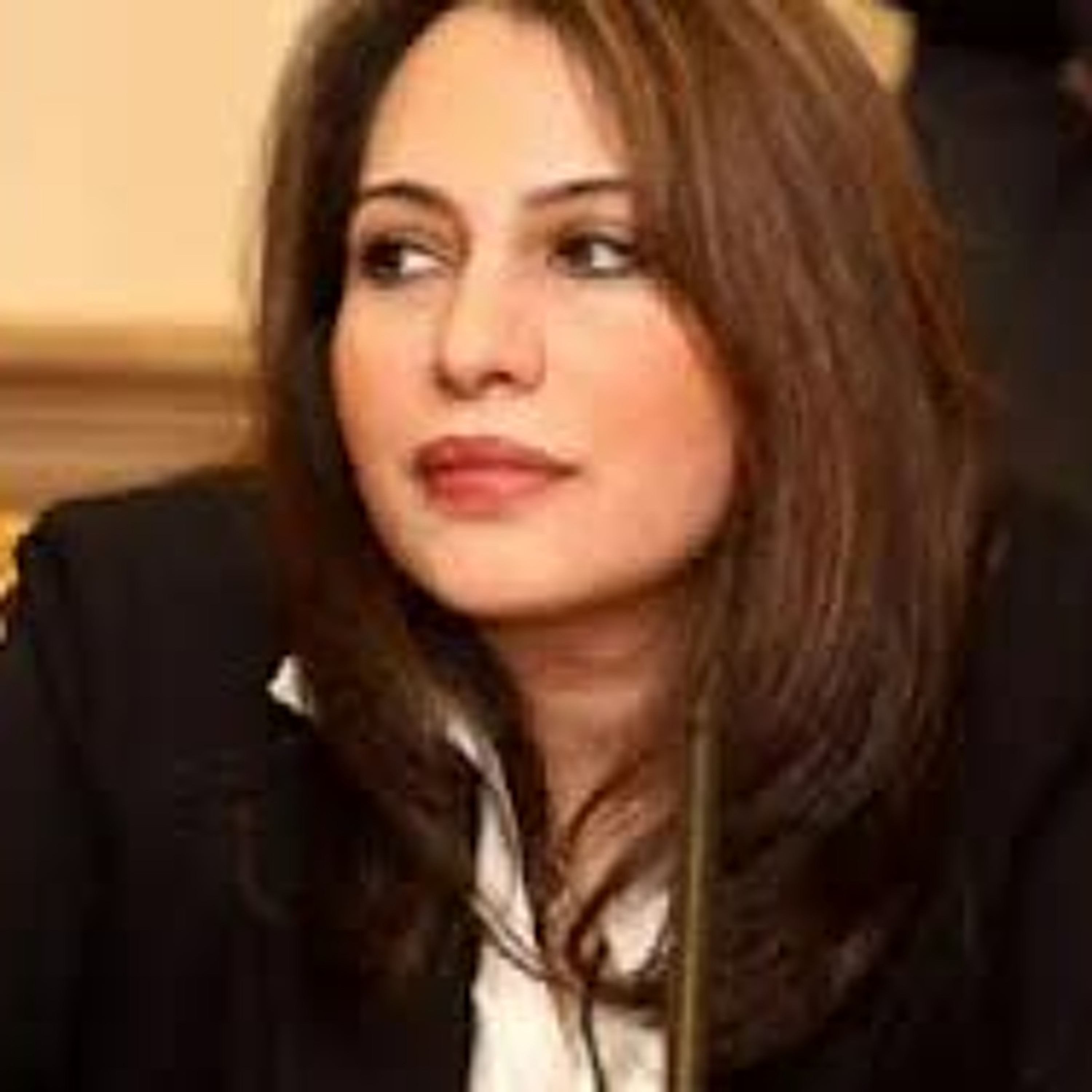 The Abraham Accords: A View from the UAE with Najat Al Saied