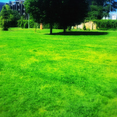 Seraphim Garden I Hear Baby Angels+@milest
