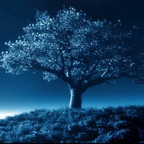 Big Tree Bootleg