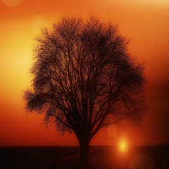 In Altri Spazi In Tempi Differenti HD