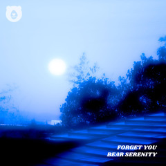Forget You (Slowed & Reverb)