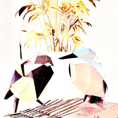 oiseauxFatiguésMaisContents