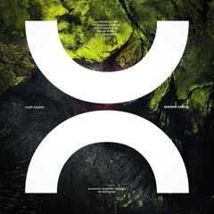 PREMIERE: Noah Tauber - Robot Voices