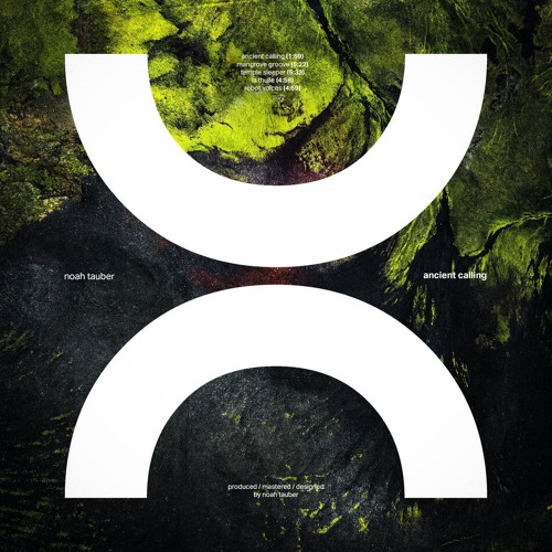 PREMIERE: Noah Tauber - Robot Voices