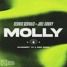 Cedric Gervais X Joel Corry - MOLLY (Bashment YC & Oing Remix)