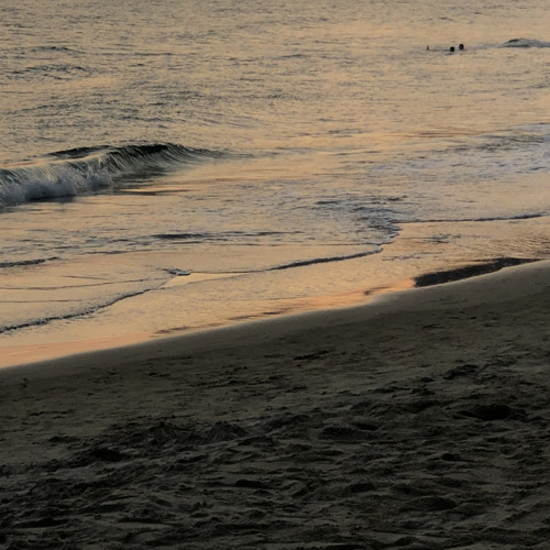 어반자카파 - 봄을 그리다