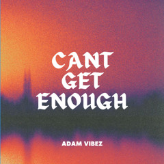 Can't Get Enough (PROD BY. toriebeats)