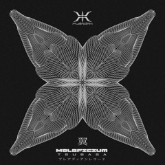 Maleficium - Tsubasa
