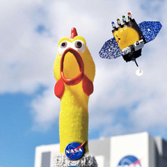 chickens in space