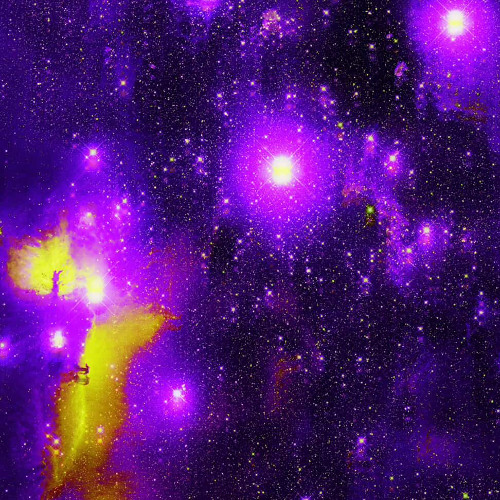 $crapFlow/GoAheadAndDoIt(J3TSKR3VM)