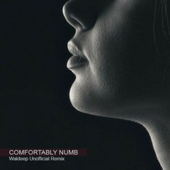 Comfortably Numb - Pink Floyd (Waldeep Unofficial Remix Radio Edit) FREE DOWNLOAD