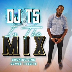 Dj TS IN THE MIX VOLUME 13 THE BIG PEOPLES PARTY pt 4