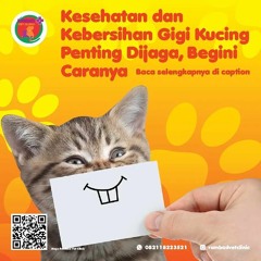 0817-273-670 Operasi Steril Kucing Betina Tangerang Selatan, Rambad Vet Clinic