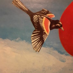 からす(Thls is the strongest song of 1970's written by Chu Kosaka)