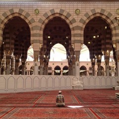 غرد واصدح بالآيات | عمار صرصر | دار القرآن الكريم والسنة.