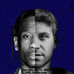 Travis Scott vs. Tujamo - Goosebumps vs. WHO (MC_DJ Mashup)