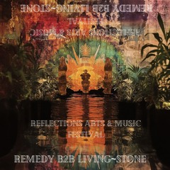 Reflections Remedy B2B Living~Stone 2024