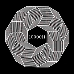 1000011 - torus 3